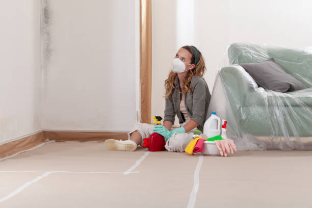 Reliable Mold Remediation contractor in Oakland, OR by Mold Remediation HQ
